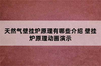 天然气壁挂炉原理有哪些介绍 壁挂炉原理动画演示